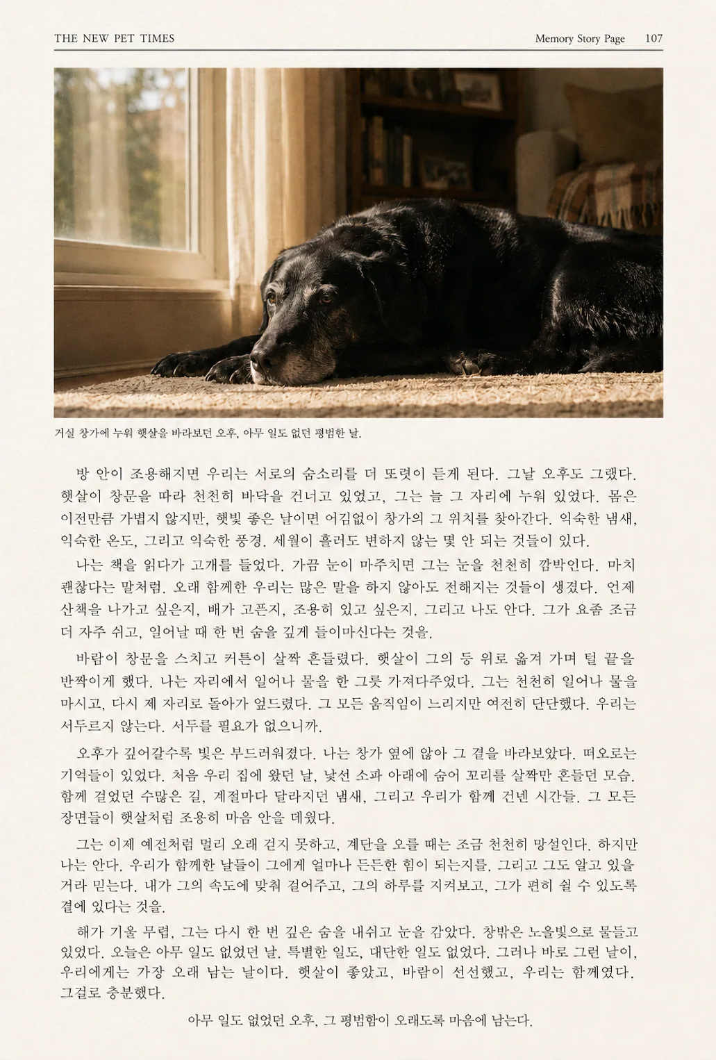 추억 기록 페이지 샘플 — The Afternoon We Still Remember