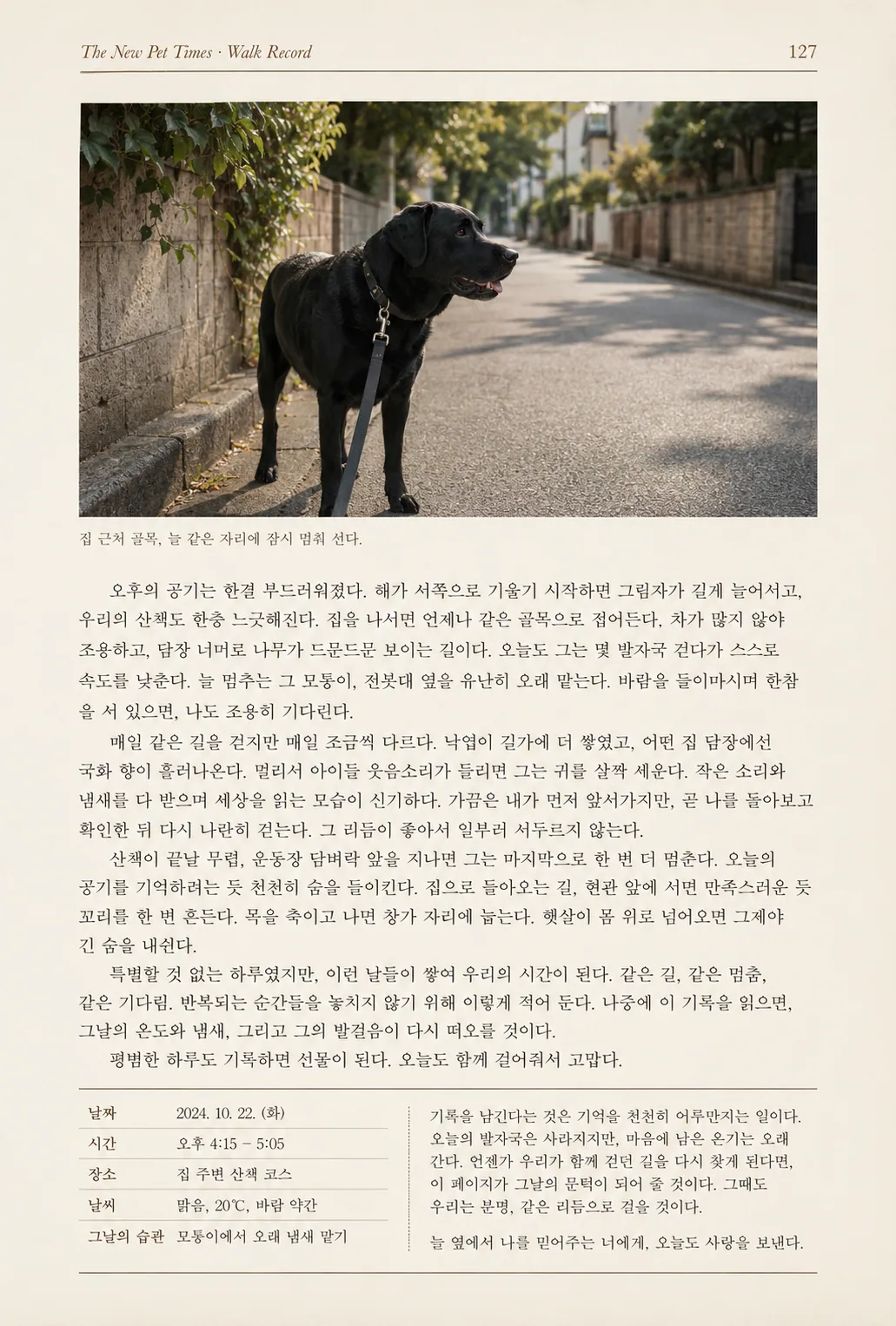 산책 기록 페이지 샘플 — Our Usual Afternoon Walk