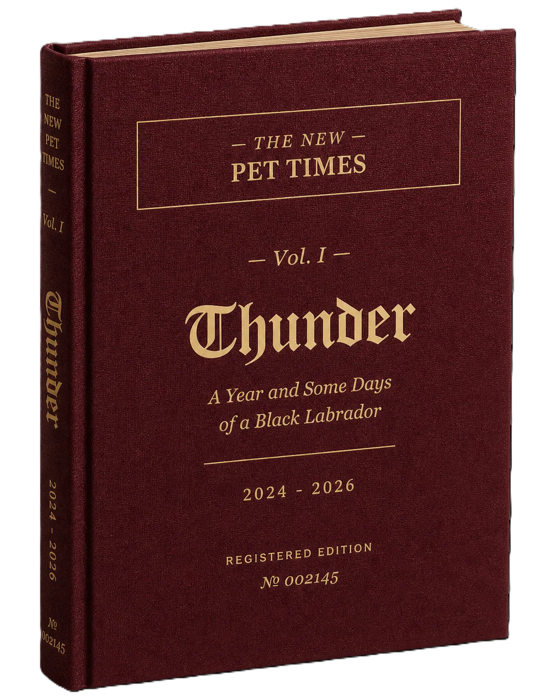 뉴펫타임즈 양장본 책 하드커버 목업 — Thunder, Vol. I